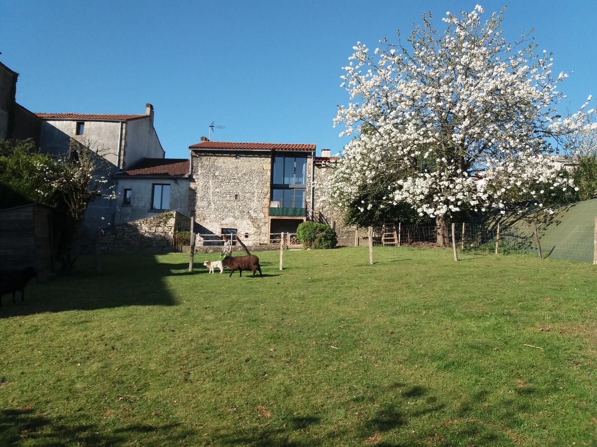 Chateaumur Maison De Vacances מראה חיצוני תמונה
